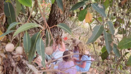 SSC girls sitting under trees in nature